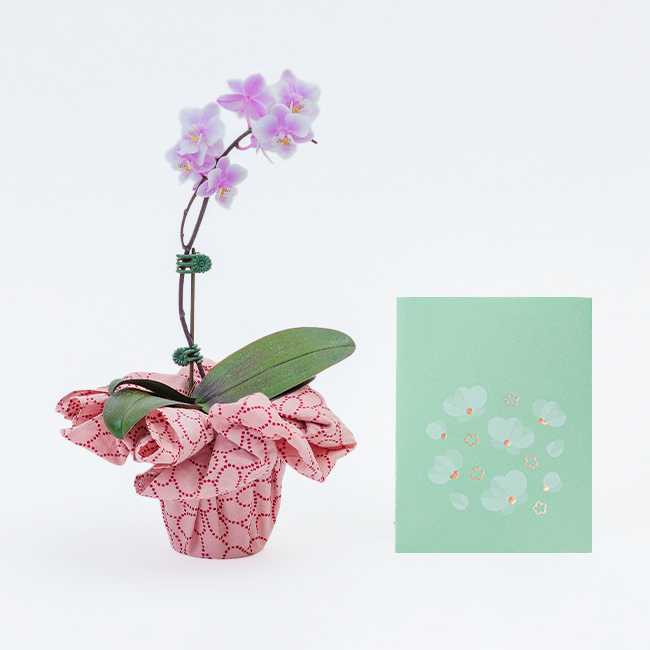 新商品ラインアップ | 【電報サービス】VERY CARD